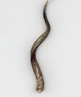 Shofar Yemenite Kudu Horn Xxl 48   -50    New Natural Kosher Made Free Shipping Usa