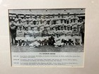 Vintage 1971 Mlb Washington Senators Original 8x10 Team Photo Framed With Coa 
