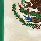 Vintage Cotton Mexico Flag Cloth Eagle Sewn Mexican Textile Art Distressed Decor
