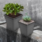 1 2 3 5 7 10 Gallon 5 10pcs Re-usable Square Nursery Pot Plastic Grow Pots Plant