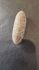 Fossilized Pine Cone 2 