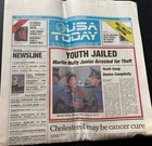 Usa Today Back To The Future Part Ii Mcfly Youth Jailed Oct 22 2015 Newspaper