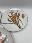 Lot Vintage Iris With Butterfly Design Porcelain Plate Japan 6 1 2  Set Of 3