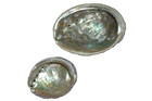 Vintage Lot Of 2 Abalone Shell 7 3 4    X 6   And 5 1 4  X 4  Beautiful    