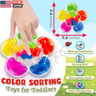 Color Sorting Sensory Toy For Kids  Toddler Travel Toys Roadtrip Essenstial