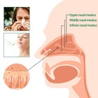 Tqiuh New Upgrade Organic Herbal Lung Cleanse Repair Spray  Onnature Herbal    
