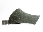 Nwa 11900 Ureilite 16 92g Slice Of Augite-bearing Meteorite