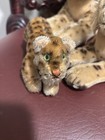 Set Of 3 Vintage Mohair Steiff Leopard Cats Plush Reclining  Rare Stuffed S m l
