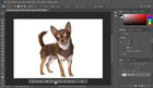 Photoshop 2025 -  pre-activated W  Unique Windows Key 