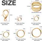 Jump Rings Kit With1000pcs Open Jump Rings 40pcs 12mm Lobster Clasps And Jump Ri