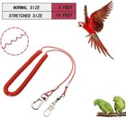 Bird Harness Leash Anti-bite Outdoor Red Flying Training Rope With 5pcs Differen