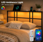 Twin Size Bed Frame Led Modern Toddler Kid Boy Girl Bedroom Cama Para Ni  o Black