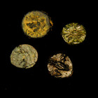 Four Ancient Greek     minis  4 69 Grams Total 8-10mm 4th-3rd Century Bc