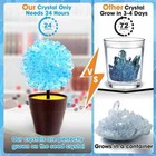 Gobidex Crystal Growing Kit  Science Kits For Kids Age 8-12  Grow Fast In  24h 