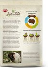 Kaytee Food From The Wild Natural Pet Guinea Pig Food  4 64 Ounce  pack Of 1  