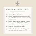 Vintage Crow Illustration Giclee Print On Fine Art Paper