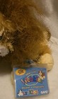 Webkinz Lil  Kinz Lion Plush  With Sealed Code Tag  Unused  Hs006 Ganz Webkinz