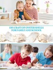 10pcs Extra Large Oyster Shells For Crafts     5 -6      Large  White