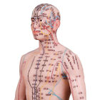Acupuncture Model Human Acupoint Silicone Doll Acupuncture 48 55cm Point Display