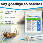 Genuine Advion Roach Killer   4 Pack   Cockroach Gel Bait Tubes   Plunger   Tips