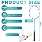 Woanger 10 Packs Badminton Rackets Set With 15 Shuttlecocks Badminton Racquet   
