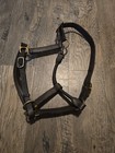Leather Horse Halter