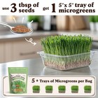 Seedboy Organic Wheatgrass Seeds - Hard Red Spring  Non-gmo  Usa 8 Oz  Green