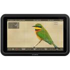 Atomos Shinobi Ii 5 2  Hdmi Hdr Monitor