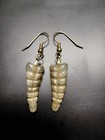 Real Rattle Snake Rattle Dangle Earrings - 1  Long Rattles