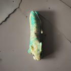 Zuni Mountain Lion Fetish Turquoise By Lance Cheama  new  F0312