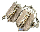 Bates Torah Jewish Star Of David Tallit Clips Judaica Judaism Hebrew Israel