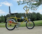 1960s Murray Eliminator  Muscle Banana Bicycle Chainguard Decal Gold Background