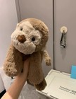 Medium Smudge Monkey Soft Toy Plush Toys Stuffed Animal Without Tags