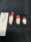 Chilean Flamingo  Hackles Feathers