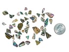 Highly Polished Paua Shell Pieces  Fine 5-15mm 1 4 Lb Bag  565-tphpf-4  9ul2