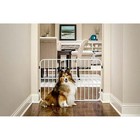 Metal Dog Gate Adjustable Width Patented Small Pet Door White Finish 38 l X 24 h