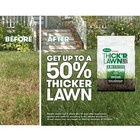 Scotts Turf Builder Thick r Lawn Sun   Shade 12 Lb 