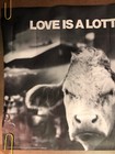 Original Vintage Poster Love Is A Lot Of Bull 1970s Headshop Pinup Joke Comedy