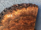 Walnut Burl Slab Billet Crafts Woodworking Turning  2  X 16 1 4  X 16 1 4    658