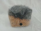 2 All In One Mushroom Grow Bags Sterilized 3 5lb Growing Bio-bag Kit Fast Shp b 