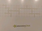 Ancestry Dna Genetic Test Kit - 2013 New Sealed Box In Shrinkwrap Free Shipping 