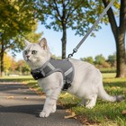 Cat Harness Leash Escape Proof Kitten Vest Walking Travel Pet Large Grey