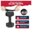 Mouse   Insect Traps 12 Pack  Heavier Sticky Traps With Non-toxic Glue For Mice