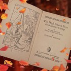 The Hight School Boys In Summer Camp Irving Hancock Vintage Antique Book