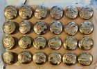 Set Of 24 Waterbury Button Co   Us Eagle Military Uniform Buttons Antique