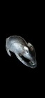 Anicent Roman Silver Mouse Figurine