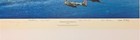 Battle Of The Coral Sea By Robert Taylor Signed By 5 Wwii Dauntless Pilots
