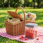 13-in-1 Manual French Fry   Vegetable Chopper With Container