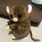 Philippine Tarsier
