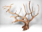 27 5  Manzanita Driftwood Tree  Reptile Enrichment  Aquascaping  Aquarium Decor